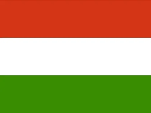 Fogad játékosokat Magyarországról